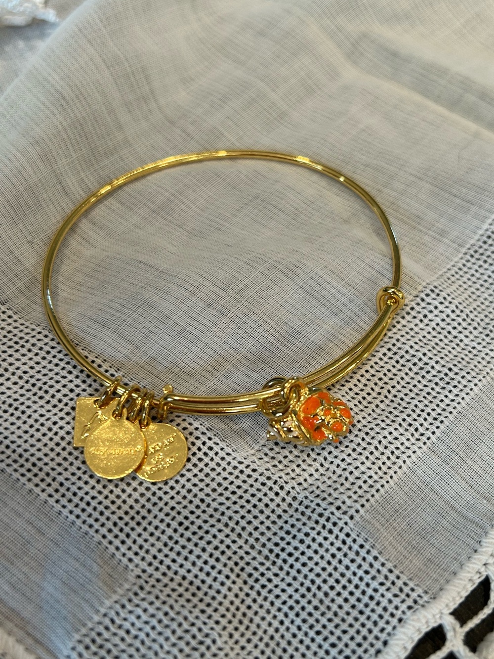 Alex and Ani Gold-Tone “Hermit Crab” Bangle 🐚🦀